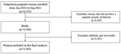 Association of low birthweight and small for gestational age with maternal ferritin levels: A retrospective cohort study in China